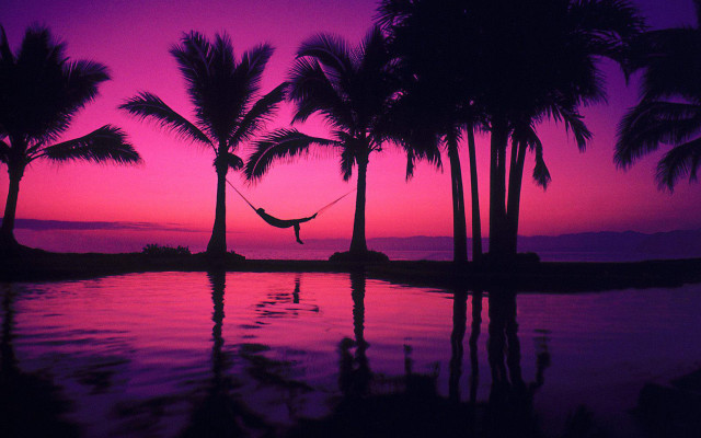 Hammock palm trees sunset purple free wallpaper - medium preview image