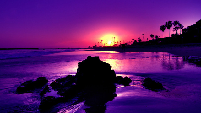 Sunset beach purple sky palm free wallpaper - medium preview image