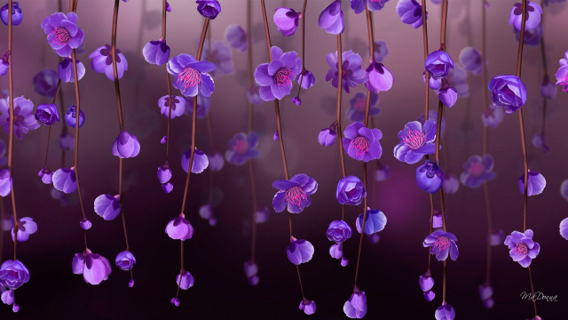 Purple flowers hanging wall bloom free wallpaper for desktop - medium preview image