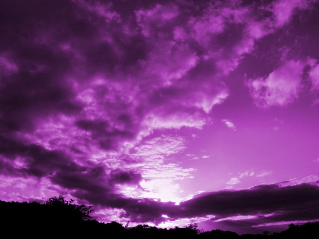 Purple sky clouds trees bench free wallpaper - medium preview image