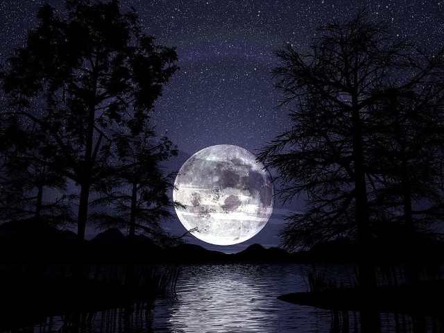 Full moon lake woods night free wallpaper - medium preview image