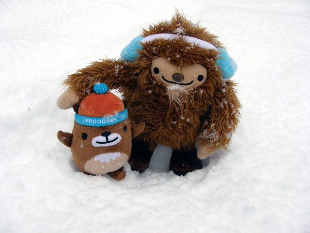 Stuffed animal stuffed animal snow free wallpaper - medium preview image