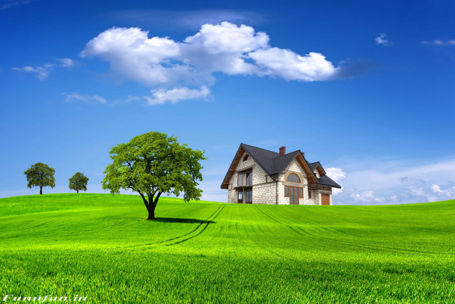 House hill tree green field free wallpaper - medium preview image