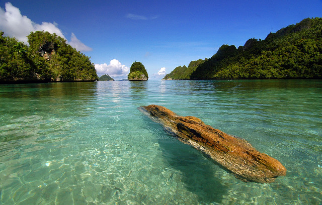 Log water beach islands blue free wallpaper - medium preview image