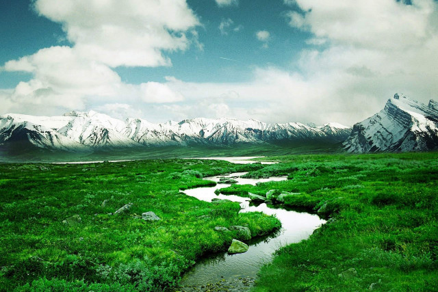Stream lush field mountains snow free wallpaper - medium preview image