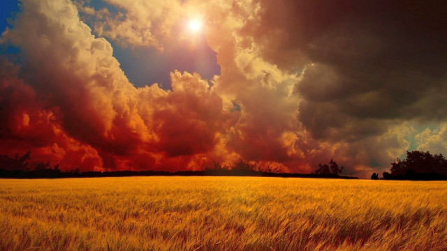 Clouds sunshine autumn leaves fire free wallpaper - medium preview image