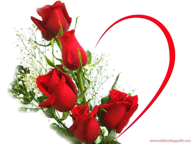 Bouquet roses heart frame red free wallpaper - medium preview image