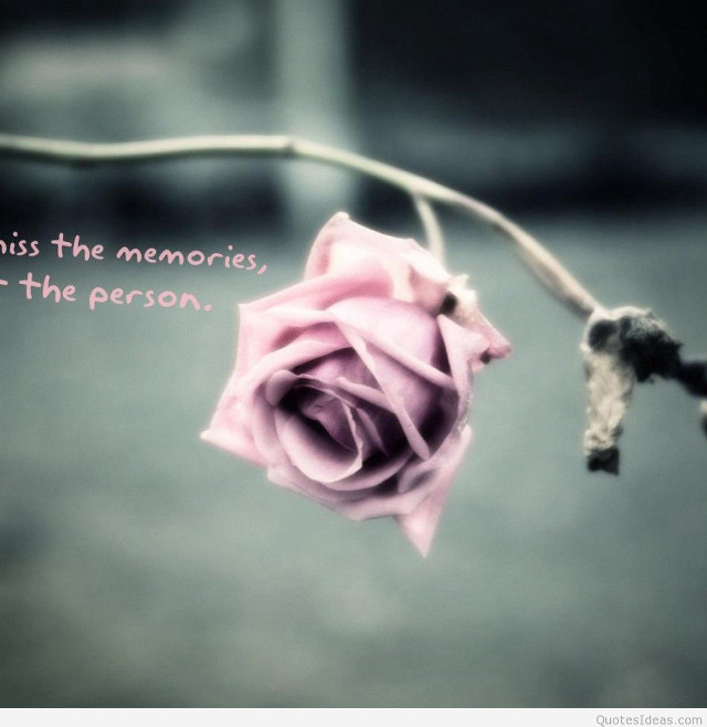 Pink rose quote on it free wallpaper - medium preview image