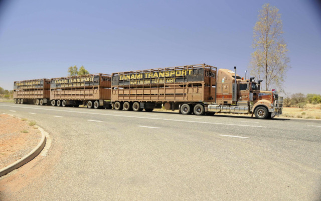 Truck trailer cattle desert road free wallpaper - medium preview image