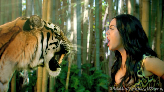 Woman tiger forest mouth open free wallpaper - medium preview image
