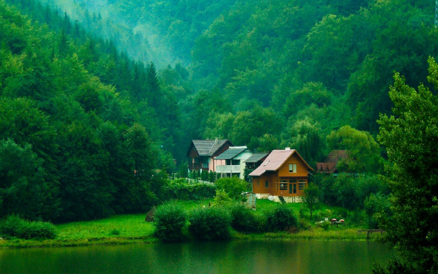 House forest lake background nature #4 free wallpaper - medium preview image