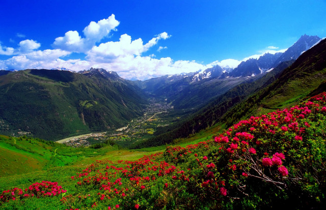 Valley flowers mountains clouds sky free wallpaper - medium preview image