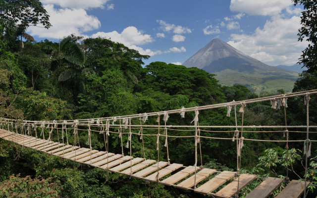 Rope bridge jungle mountain clouds free wallpaper - medium preview image