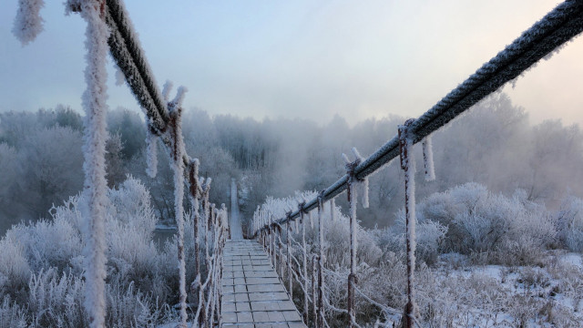 Ice frosted bridge woods path free wallpaper - medium preview image