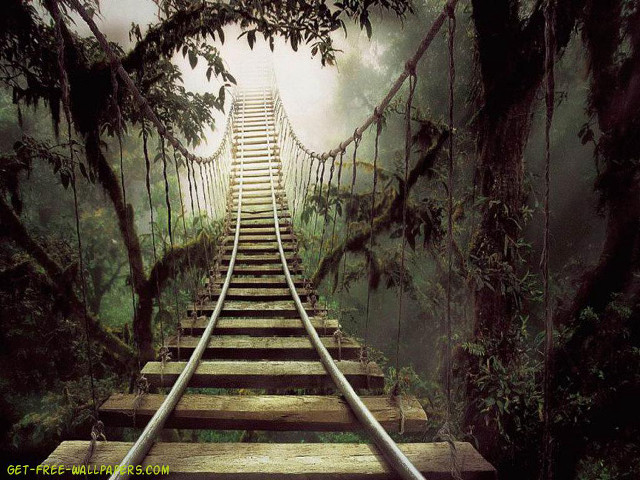 Wooden staircase forest trees fog free wallpaper - medium preview image