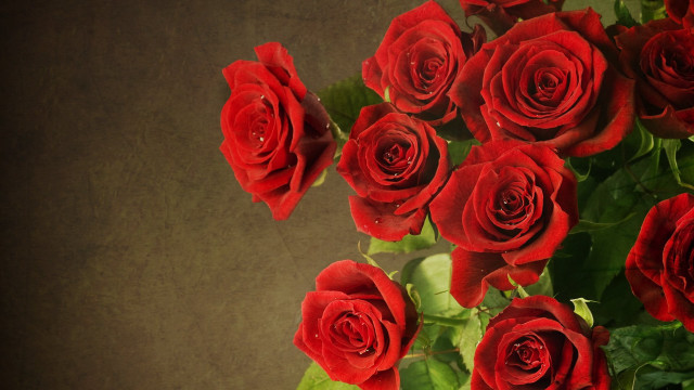 Red roses vase table brown #2 free wallpaper - medium preview image