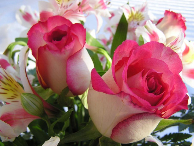 Vase pink white flowers table free wallpaper - medium preview image