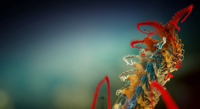 Colorful art blue background red #2 free wallpaper - medium preview image