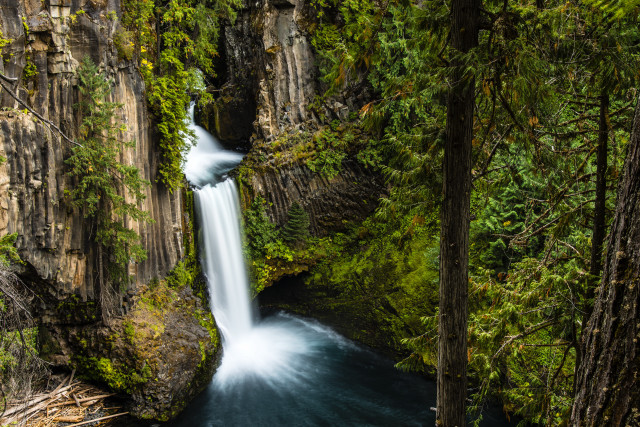 Waterfall forest trees surrounding stream free wallpaper - medium preview image