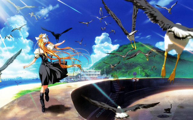 Girl walking field birds seagull free wallpaper - medium preview image