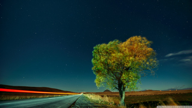 Tree road car night long free wallpaper - medium preview image