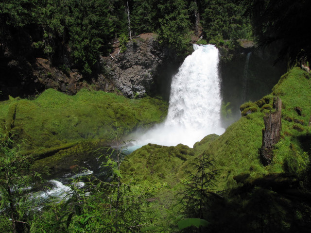 Waterfall forest moss stream nature free wallpaper - medium preview image