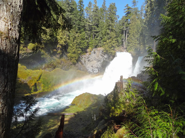 Rainbow waterfall river trees sky free wallpaper - medium preview image