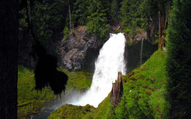 Waterfall forest nature trees background free wallpaper - medium preview image