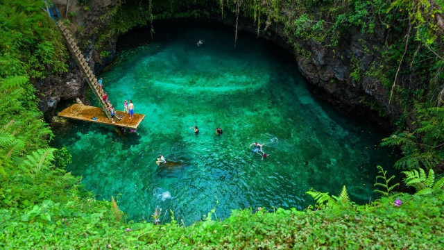Swimming group blue lagoon jungle free wallpaper for desktop - medium preview image