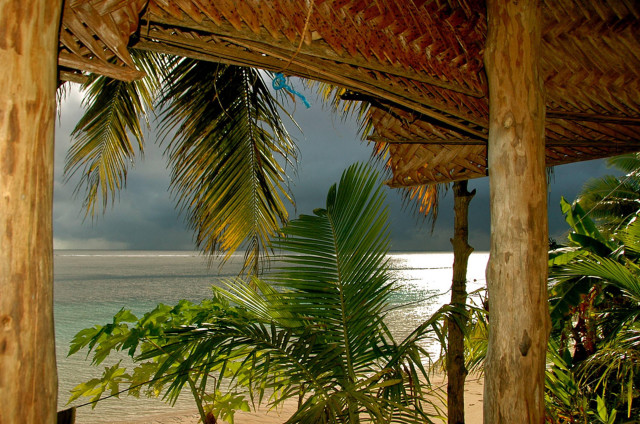 Beach palm tree bench thatch free wallpaper - medium preview image