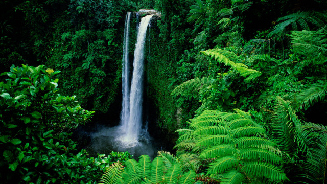 Waterfall lush green foliage trees free wallpaper - medium preview image