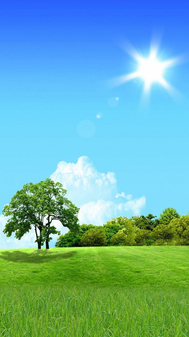 Green field tree blue sky #6 free wallpaper - medium preview image