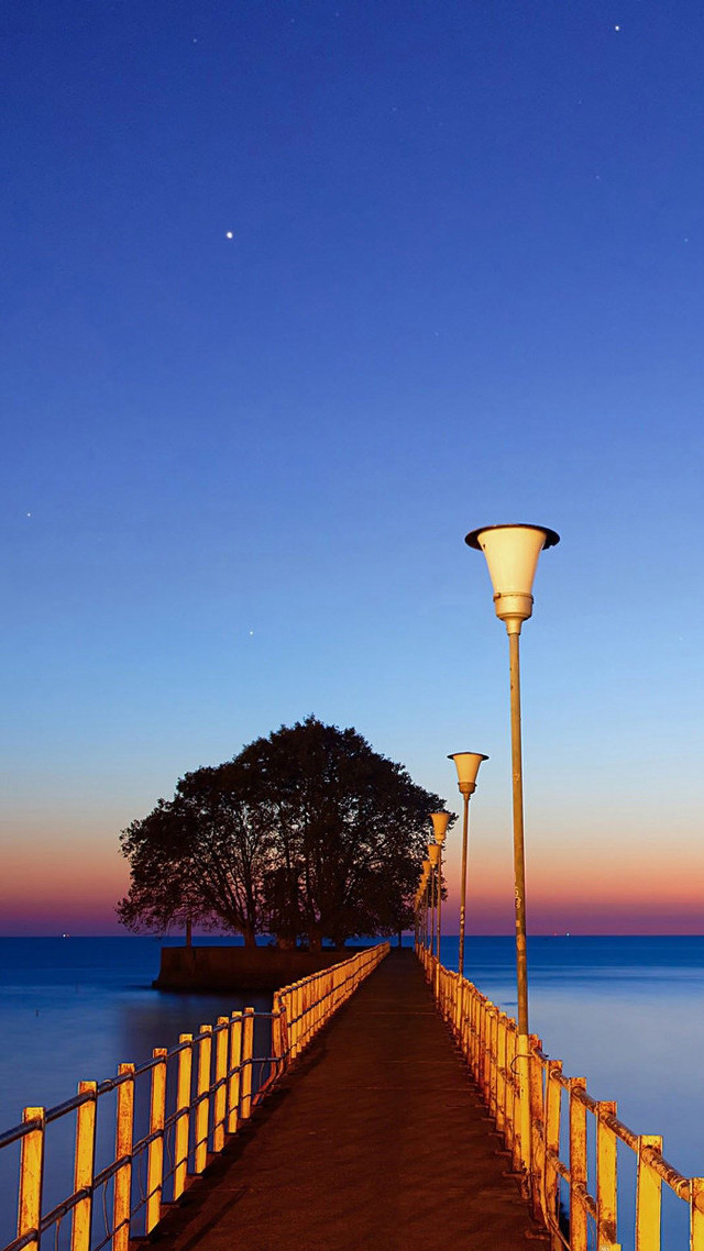 Long pier lamp post tree free wallpaper - medium preview image