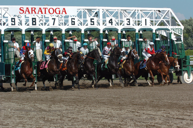 Horse race crowd fence riders free wallpaper - medium preview image