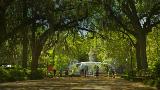 Park fountain trees people tiltshift free wallpaper - medium preview image