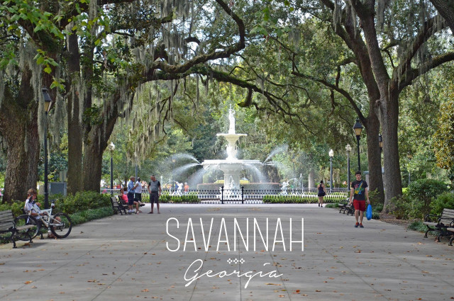 Fountain trees benches park people free wallpaper - medium preview image
