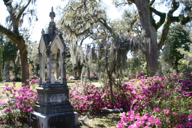 Cemetery clock flowers trees spanish free wallpaper - medium preview image