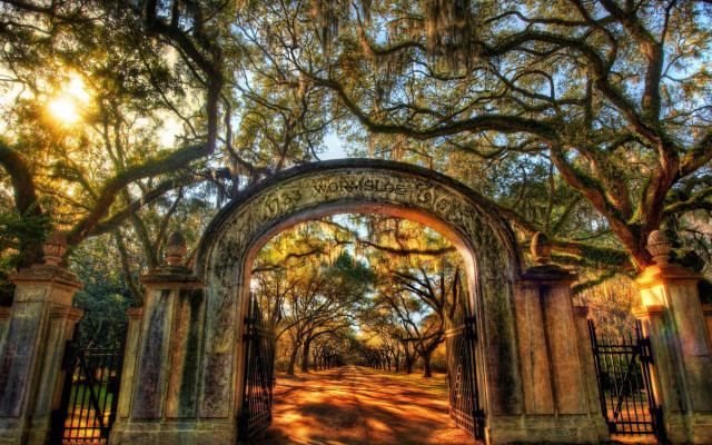 Gate tree sunbeam path autumn free wallpaper - medium preview image
