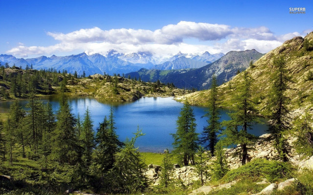 Lake mountains forest blue sky free wallpaper - medium preview image