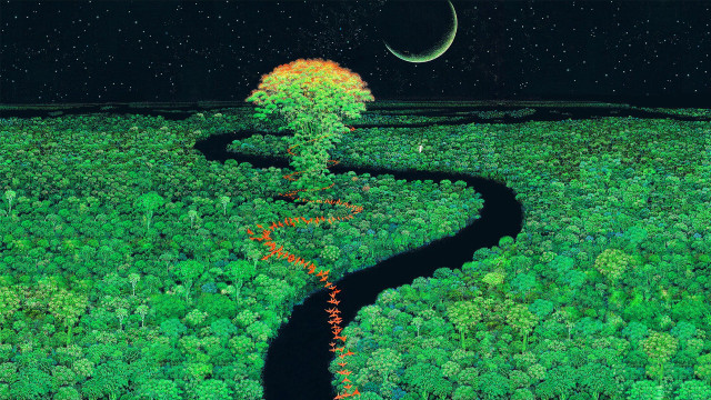 River forest moonlit stars crescent free wallpaper - medium preview image