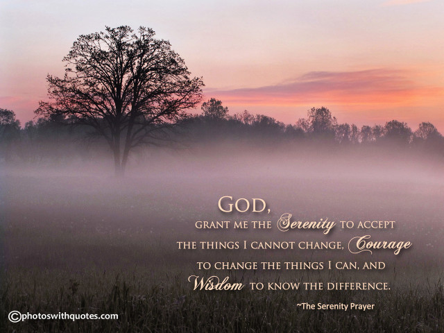 Foggy field tree serenity prayer free wallpaper - medium preview image