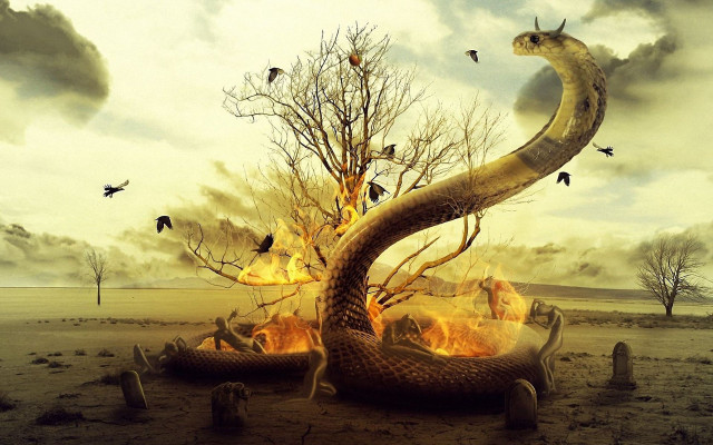 Snake firepit birds flying tree free wallpaper for desktop - medium preview image