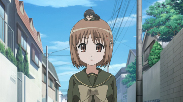 Girl cat head street building free wallpaper - medium preview image