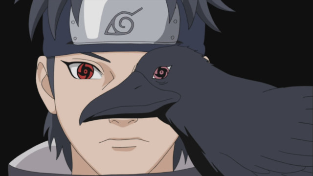 Man crow shoulder hat head free wallpaper - medium preview image