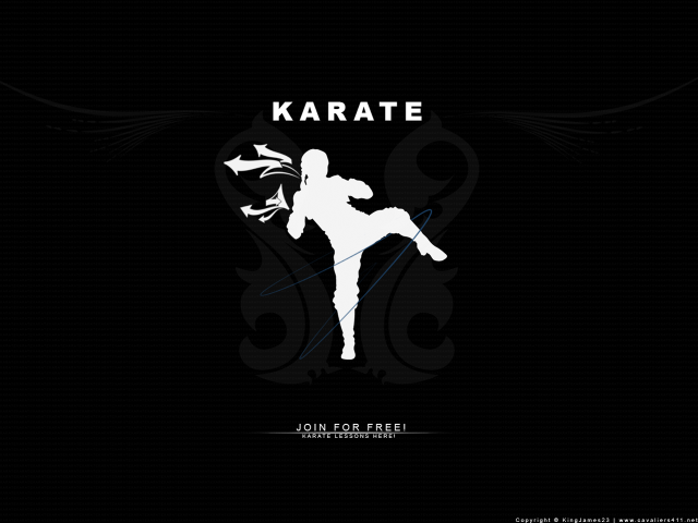Black white karate poster kicking free wallpaper - medium preview image