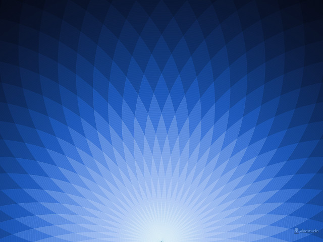 Blue background large flower pattern free wallpaper - medium preview image