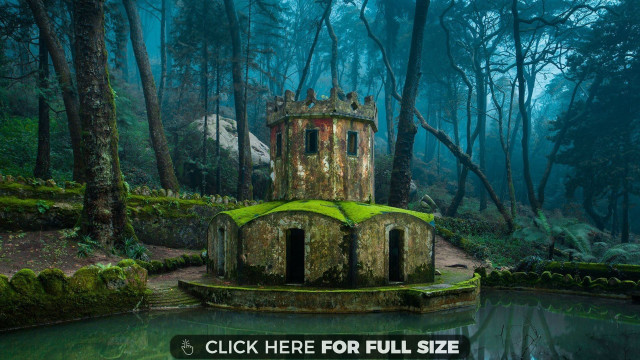 Castle forest pond green roof free wallpaper - medium preview image