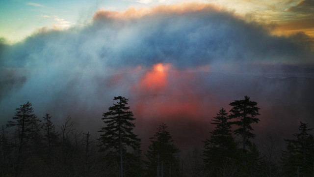 Cloud forest sunset sun peeking free wallpaper - medium preview image