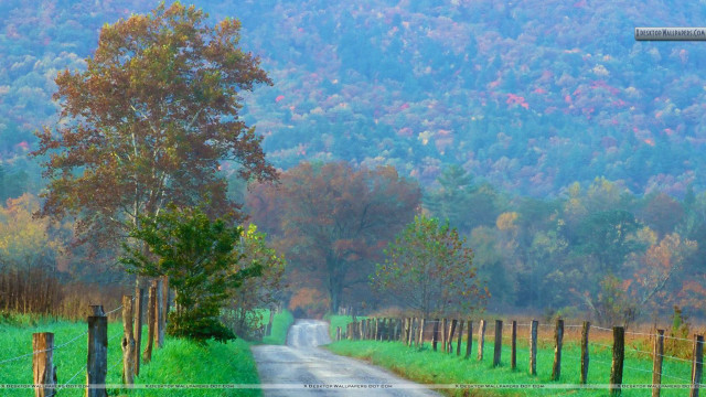 Country road fence trees mountain free wallpaper - medium preview image