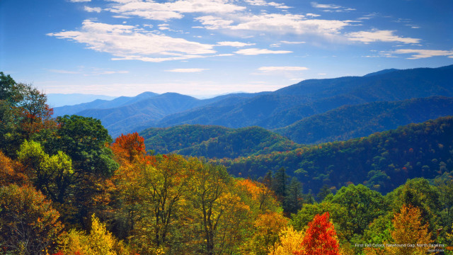Mountain range trees blue sky #11 free wallpaper - medium preview image